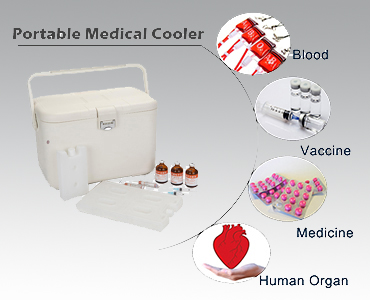 support médical portable